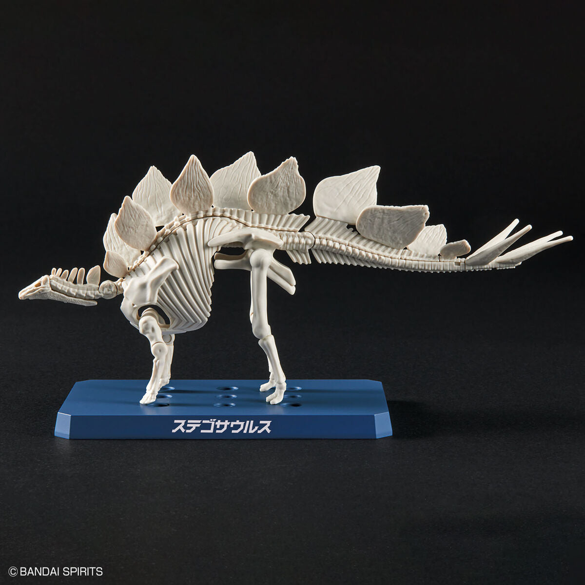 Plannosaurus Stegosaurus