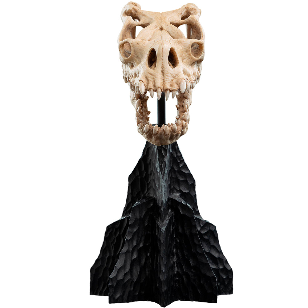 Weta Workshop Lord of the Rings - Skull of a Fell Beast Minuature