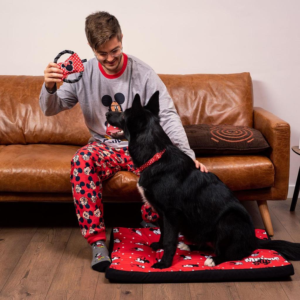 MINNIE - Collier pour Chien - XXS
