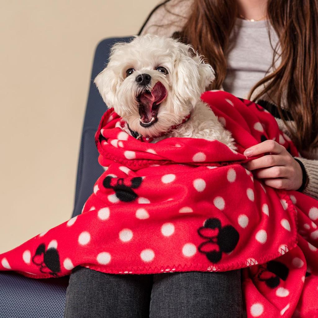 MINNIE - Dog Blanket 70X100 CM