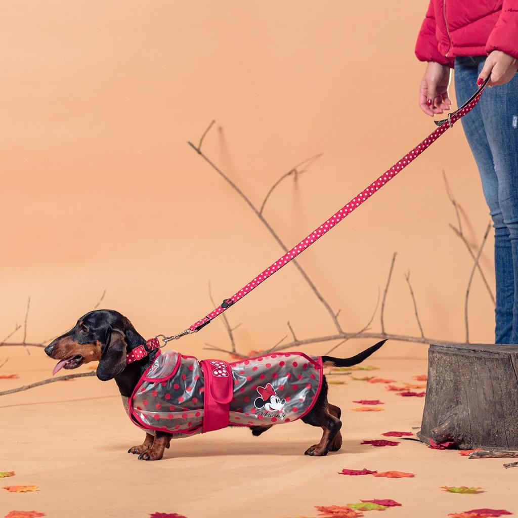 MINNIE - Imperméable pour Chien - XS