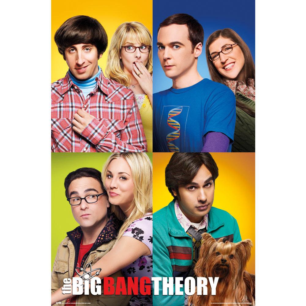 BIG BANG THEORY - Mosaic - Poster 61x91cm
