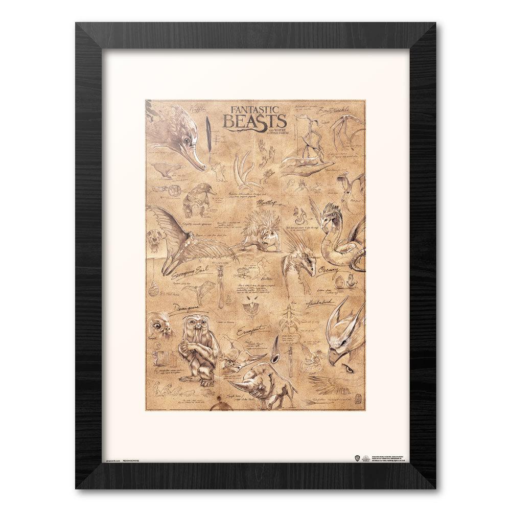 LES ANIMAUX FANTASTIQUES - Animaux - Collector Print