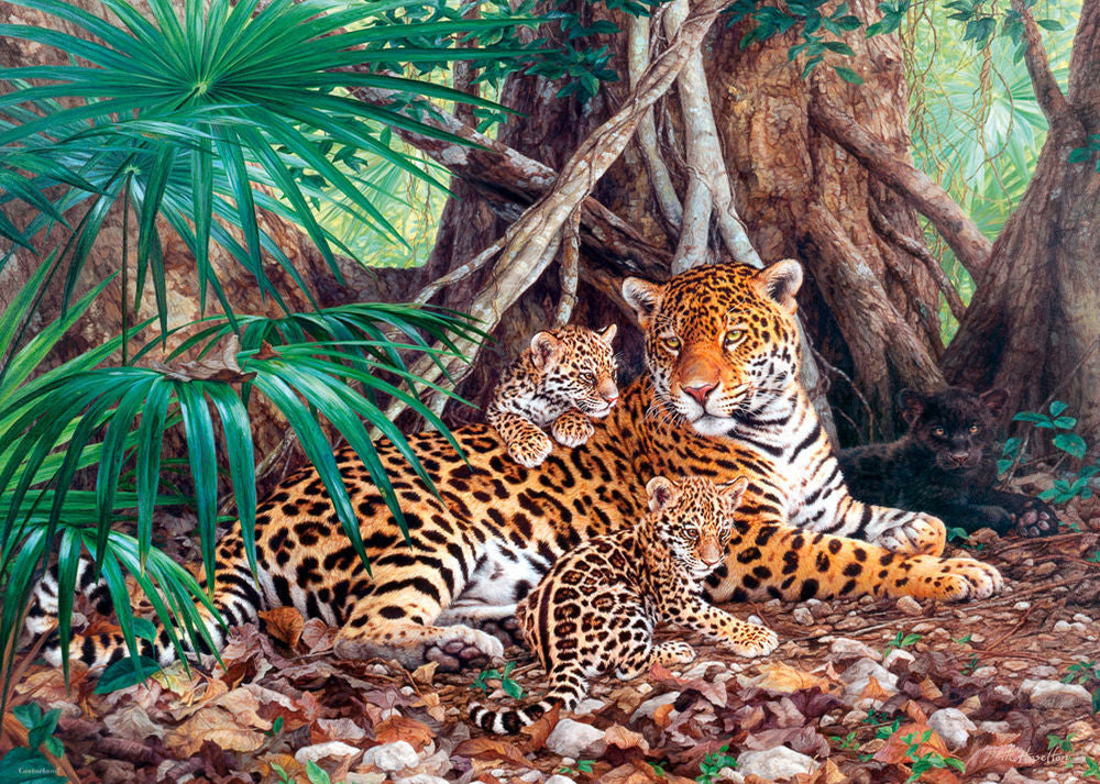 Jaguars in the jungle,Puzzle 3000 Teile