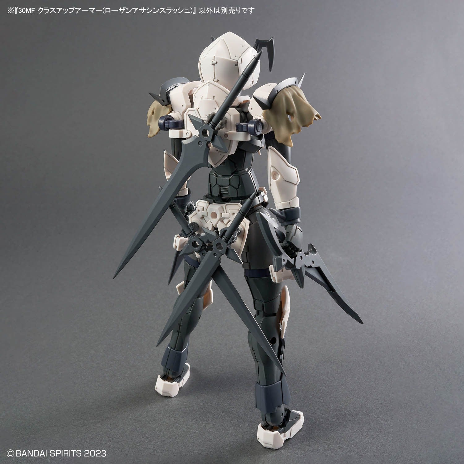 30MF Class Up Armor (Rosan Assassin Slash)