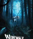 Werewolf: The Apocalypse 5th Edition RPG Sourcebook The Moonlit Path *Englische Version*