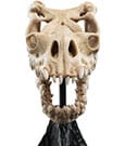 Lord of the Rings Mini Statue Skull of a Fell Beast 21 cm