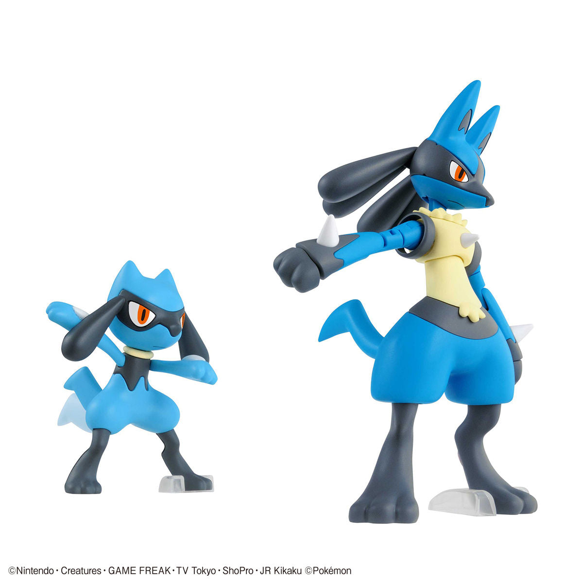 Pokémon Riolu & Lucario