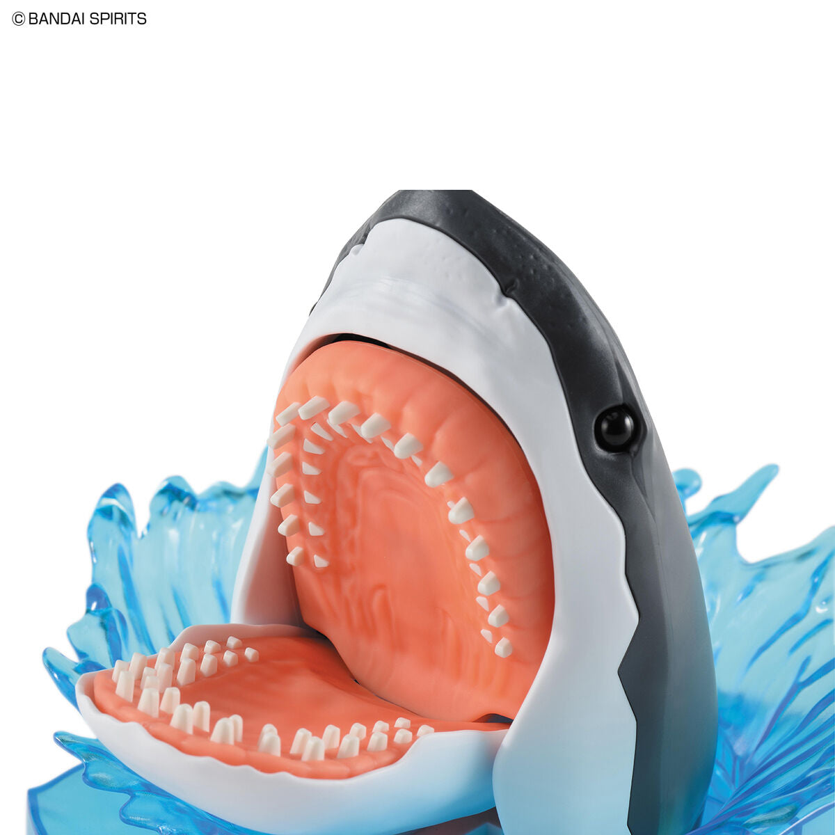 Exploring Lab Great White Shark