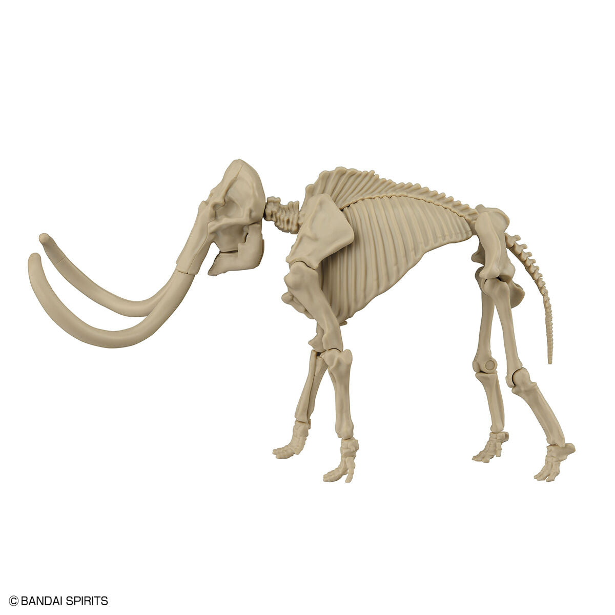 Exploring Lab Nature Mammoth *Damaged box*