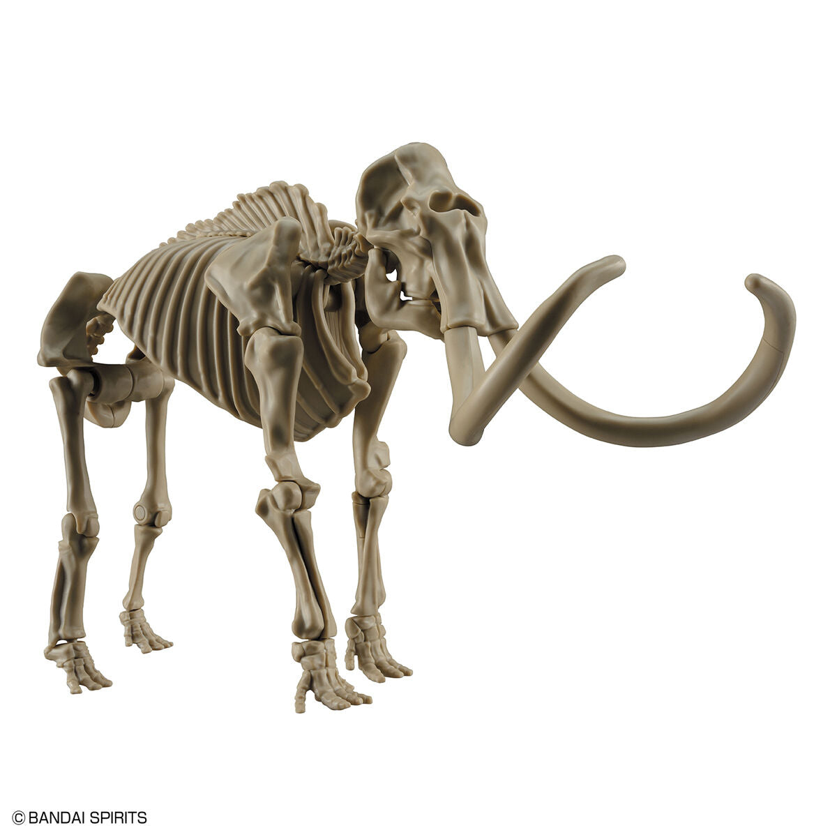 Exploring Lab Nature Mammoth *Damaged box*