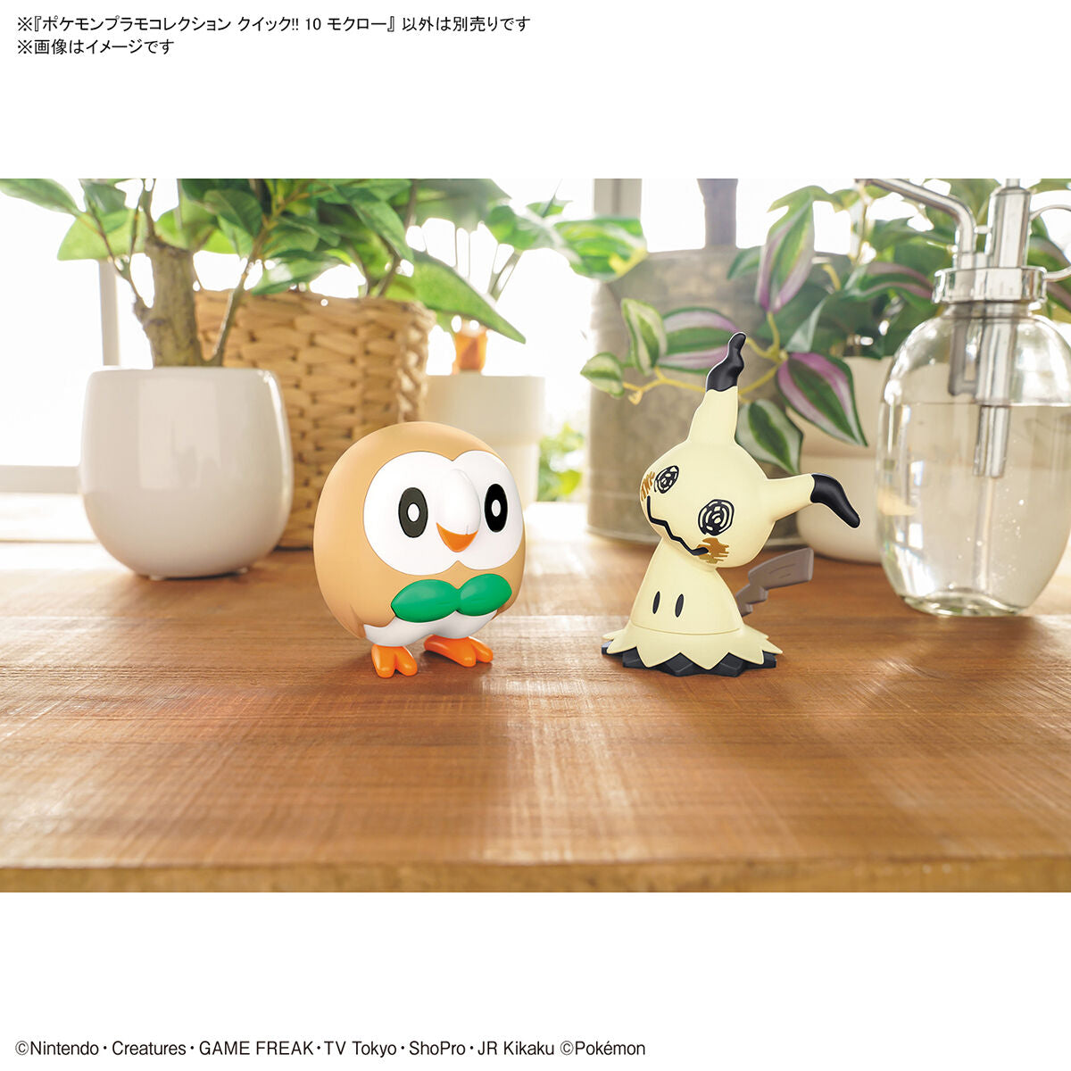 Pokémon Rowlet