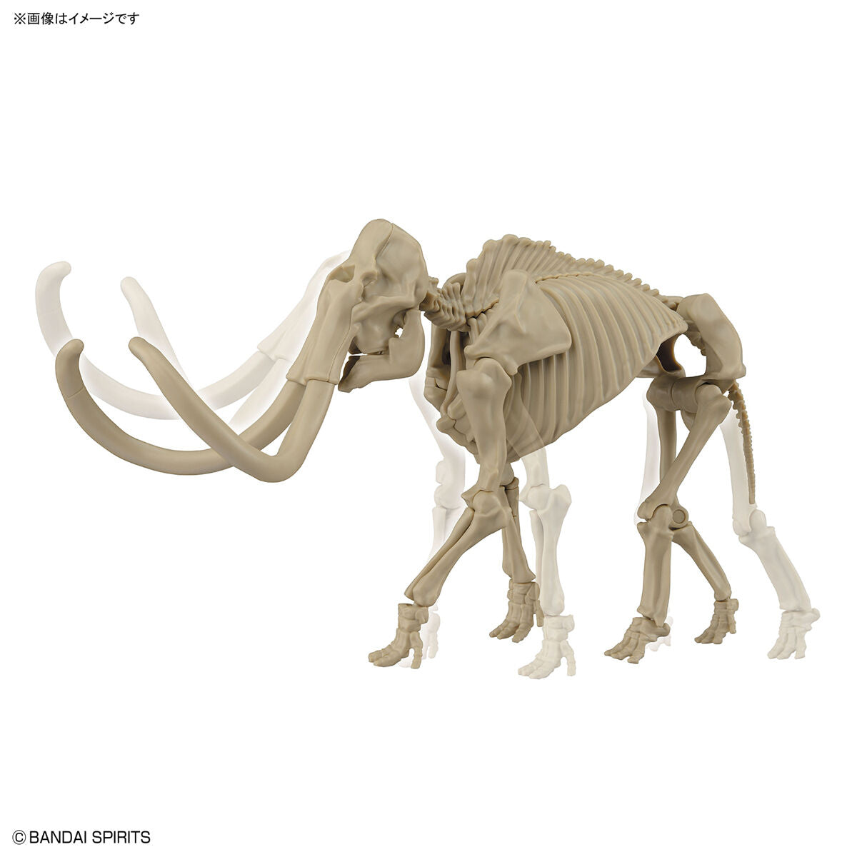 Exploring Lab Nature Mammoth *Damaged box*