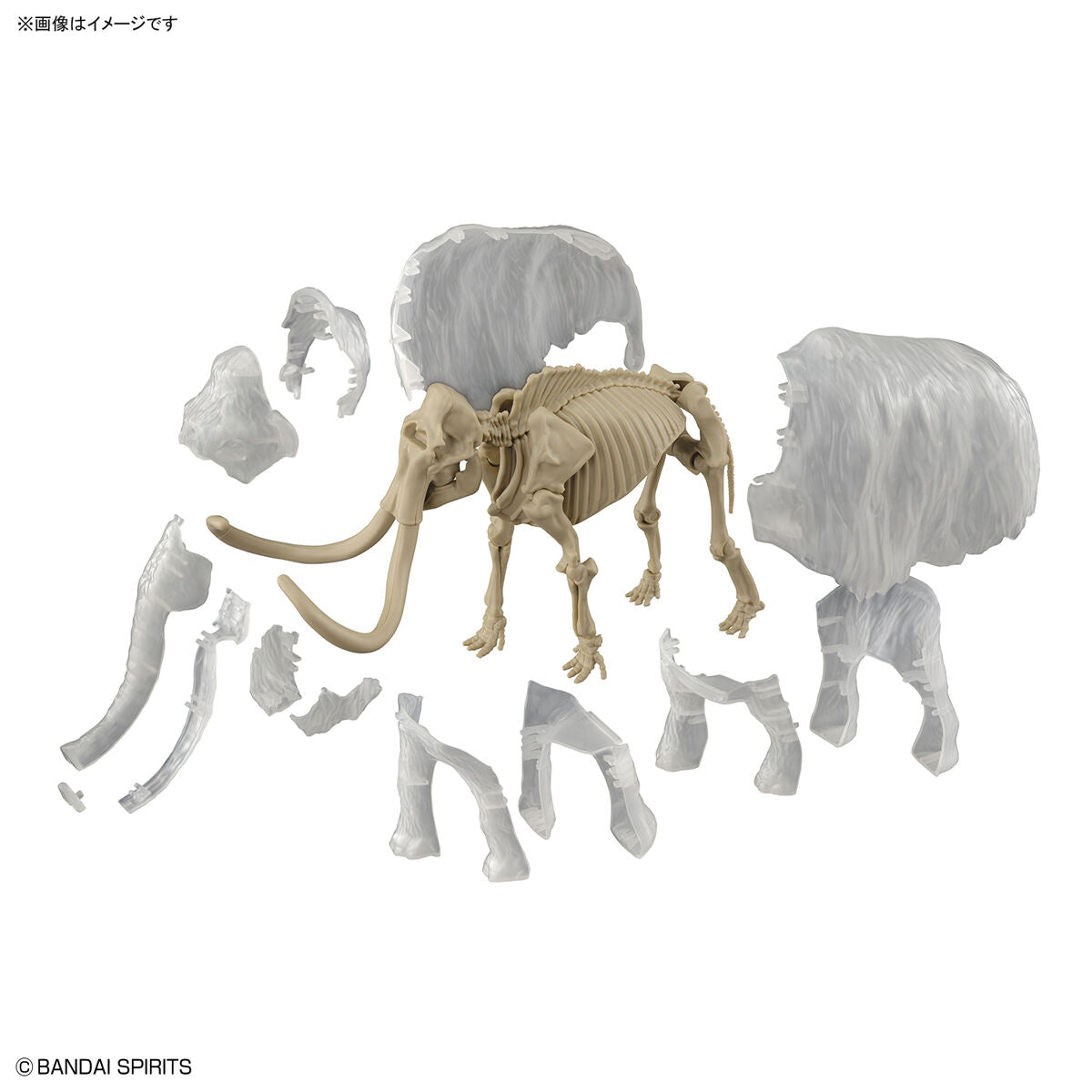 Exploring Lab Nature Mammoth *Damaged box*
