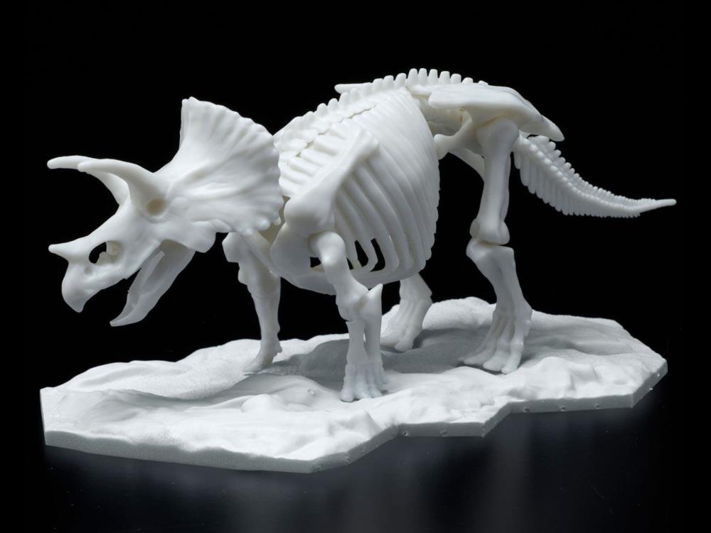 Limex - Dinosaur Skeleton Triceratops