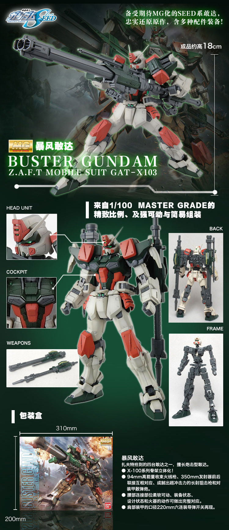 MG Buster Gundam 1/100