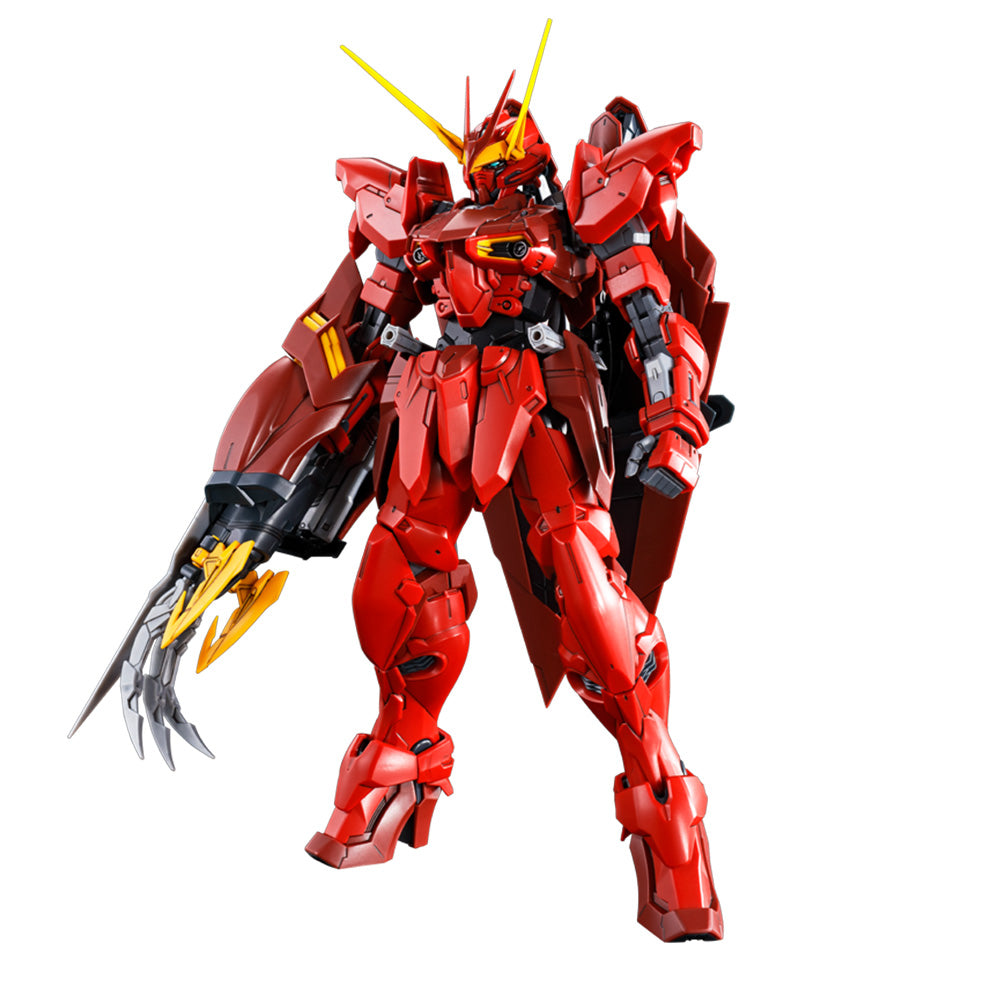 MG RGX-00 Testament Gundam - P-Bandai 1/100