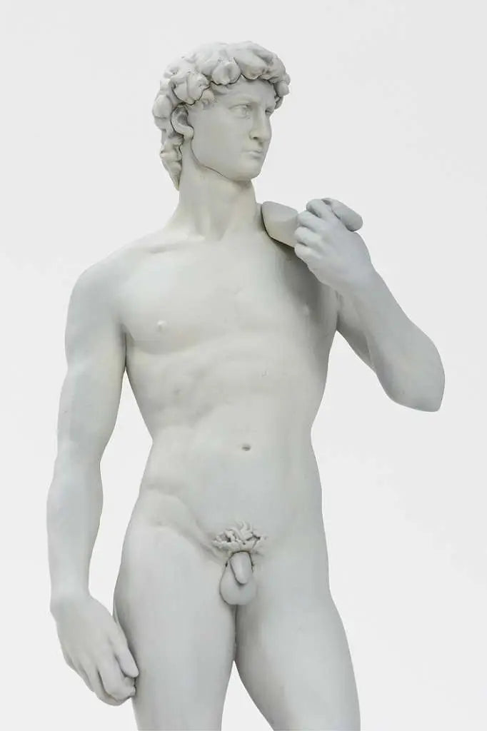 MICHELANGELO DAVID PLASTIC MODEL KIT