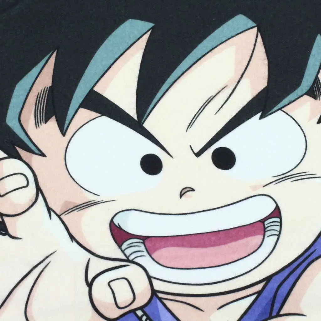 DRAGON BALL SHENRON AND HEROES 100x150CM BLANKET