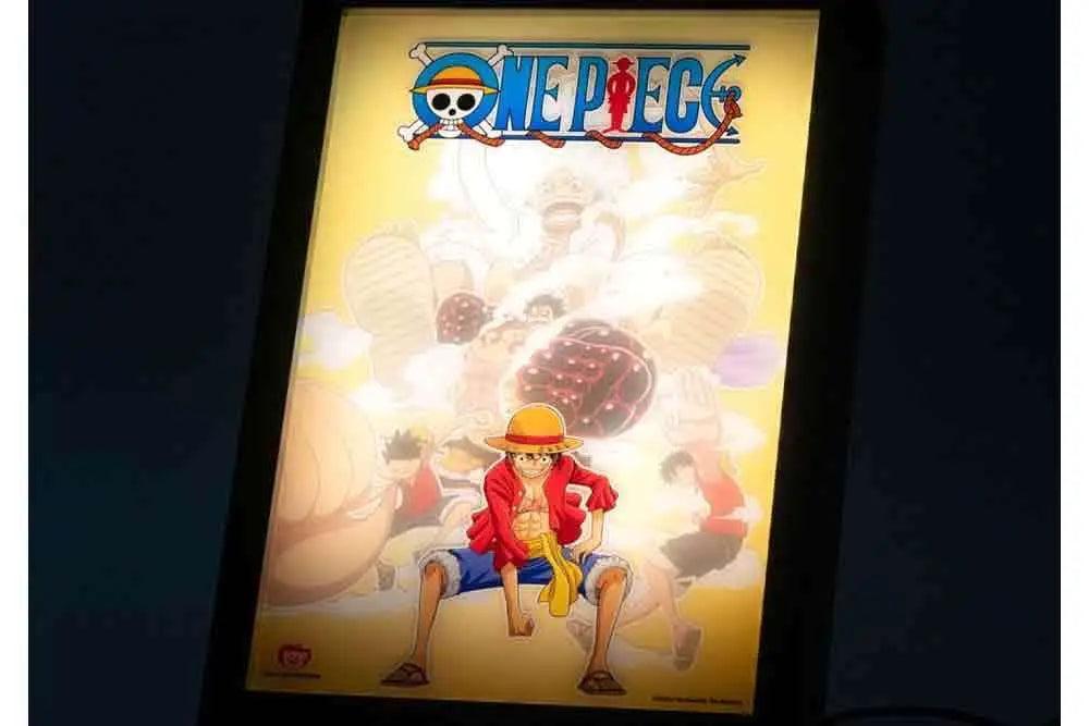 ONE PIECE BACKLIT FRAMED PRINT