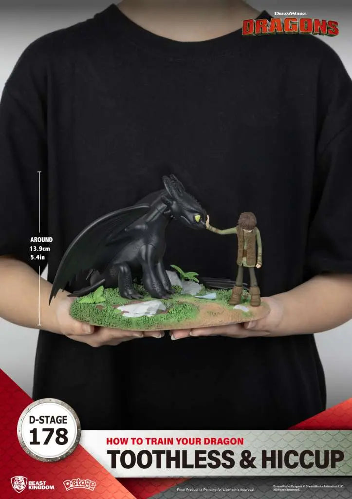 HOW TO TRAIN YOUR DRAGON TOOTHLESS & HICCUP