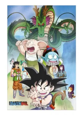 DRAGON BALL SHENRON AND HEROES 38X58CM 3D POSTER