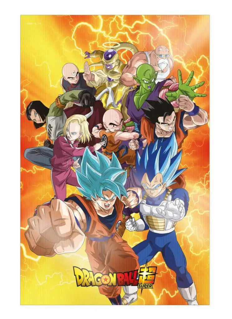 DRAGON BALL SUPER UNIVERSE SURVIVAL HEROES 38X58CM 3D POSTER