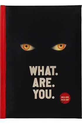 IT WELCOME TO DERRY WHAT ARE YOU LIGHT NOTEBOOK
