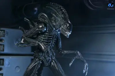 ALIENS 40TH ANNIVERSARY WARRIOR XENOMORPH BLACK ULTIMATE AF