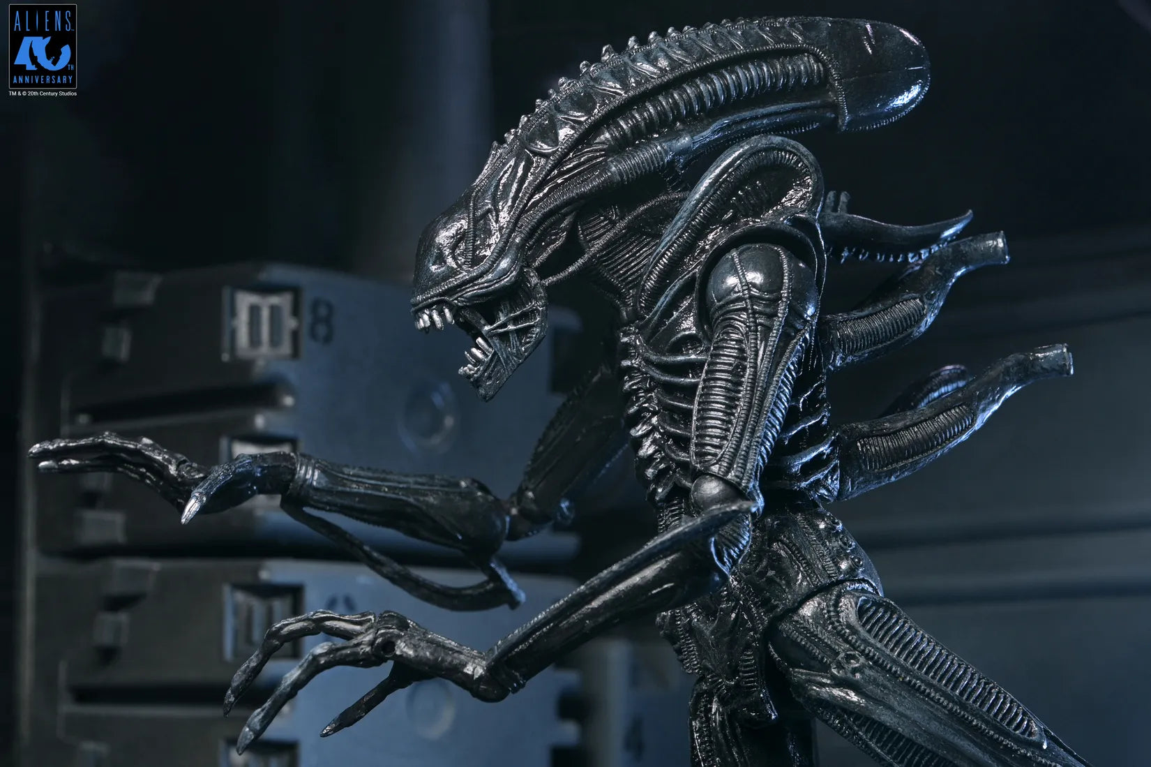 ALIENS 40TH ANNIVERSARY WARRIOR XENOMORPH BLACK ULTIMATE AF