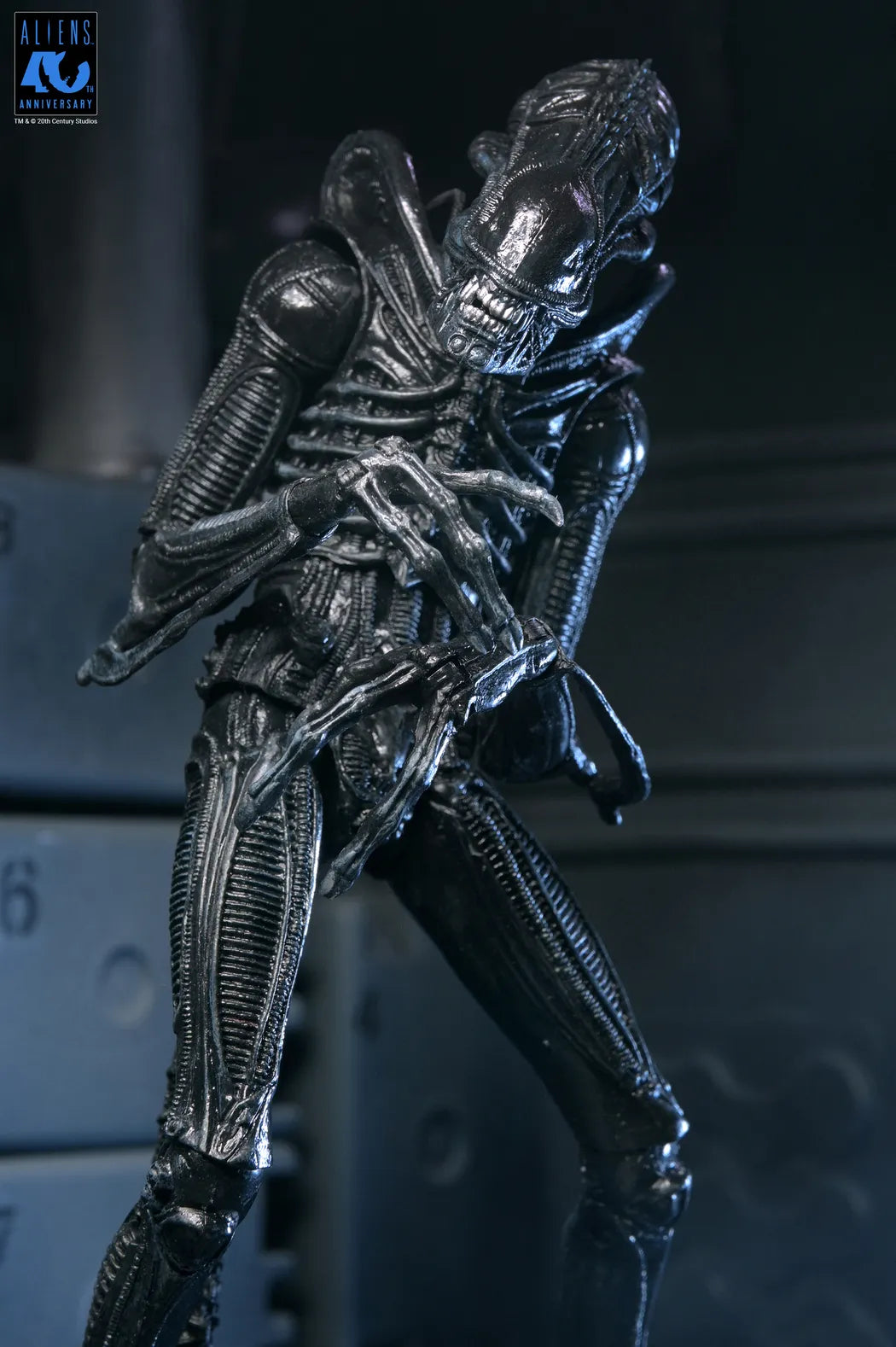 ALIENS 40TH ANNIVERSARY WARRIOR XENOMORPH BLACK ULTIMATE AF