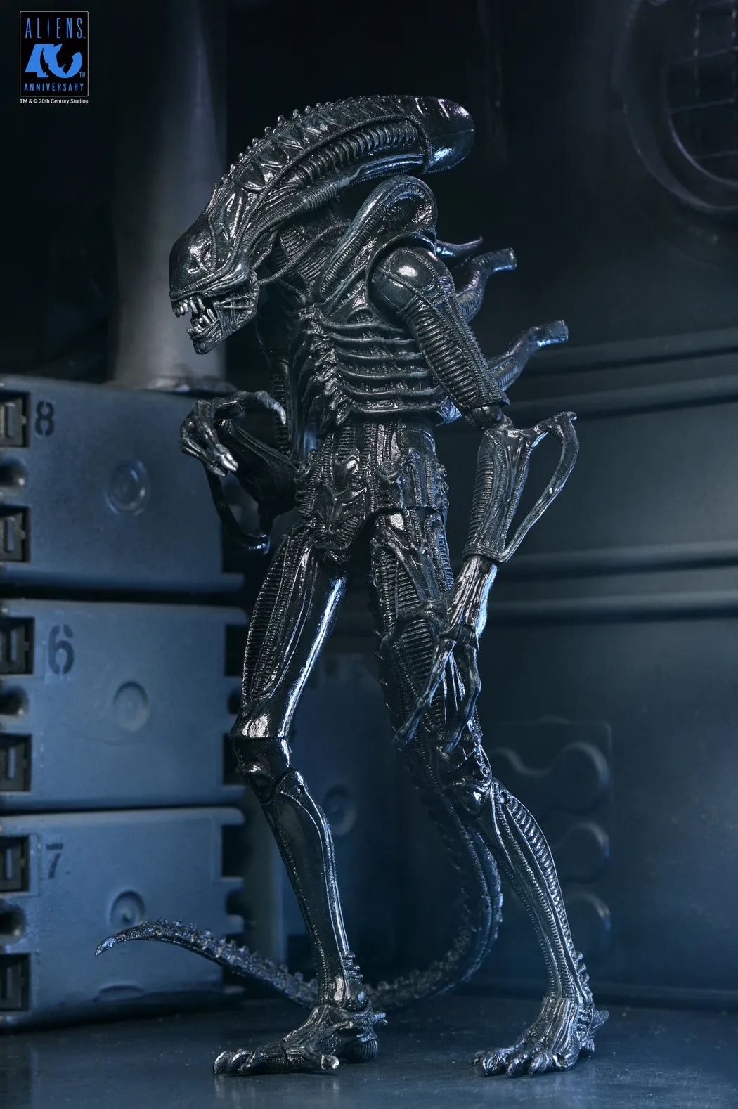 ALIENS 40TH ANNIVERSARY WARRIOR XENOMORPH BLACK ULTIMATE AF