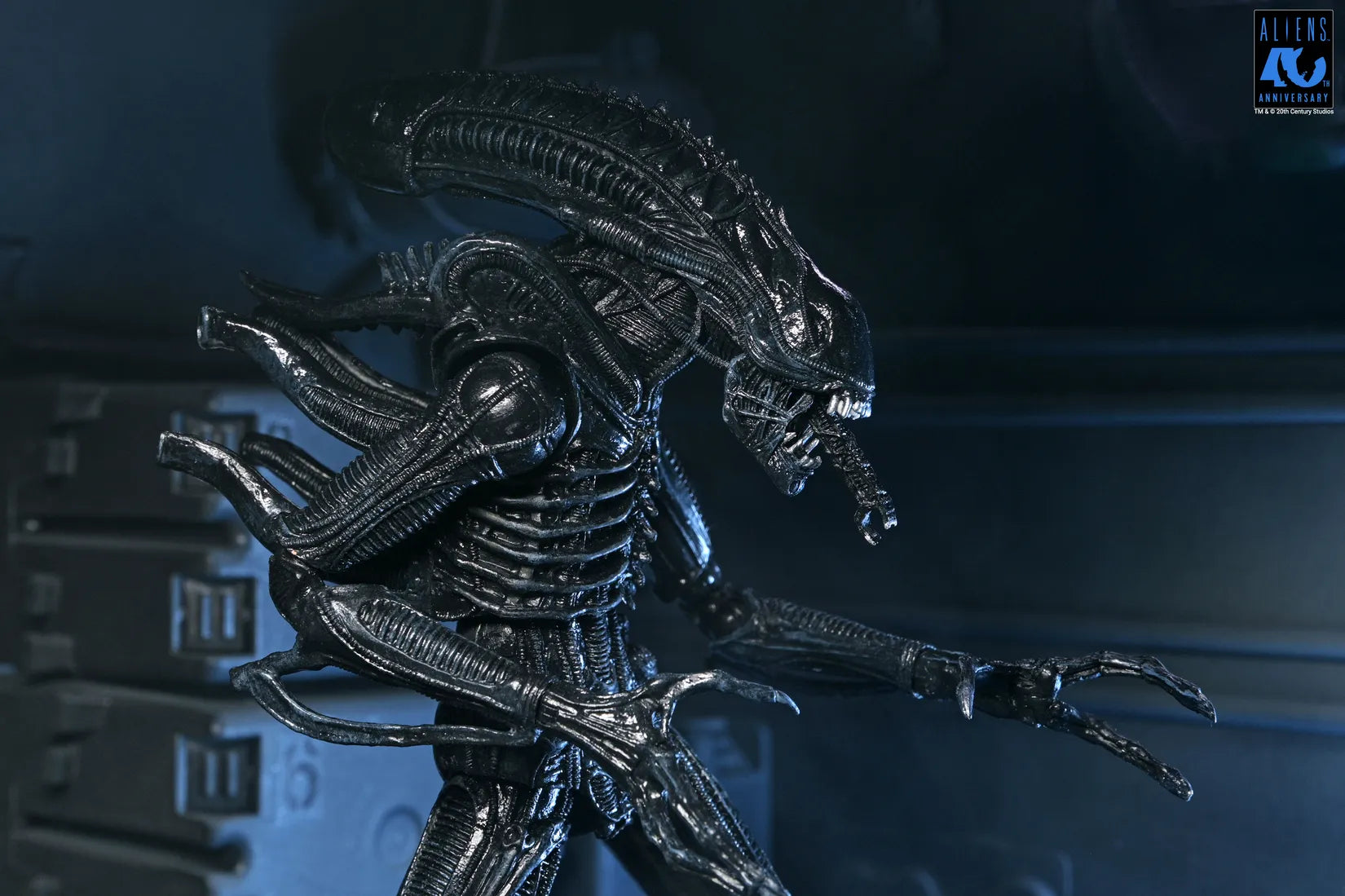 ALIENS 40TH ANNIVERSARY WARRIOR XENOMORPH BLACK ULTIMATE AF