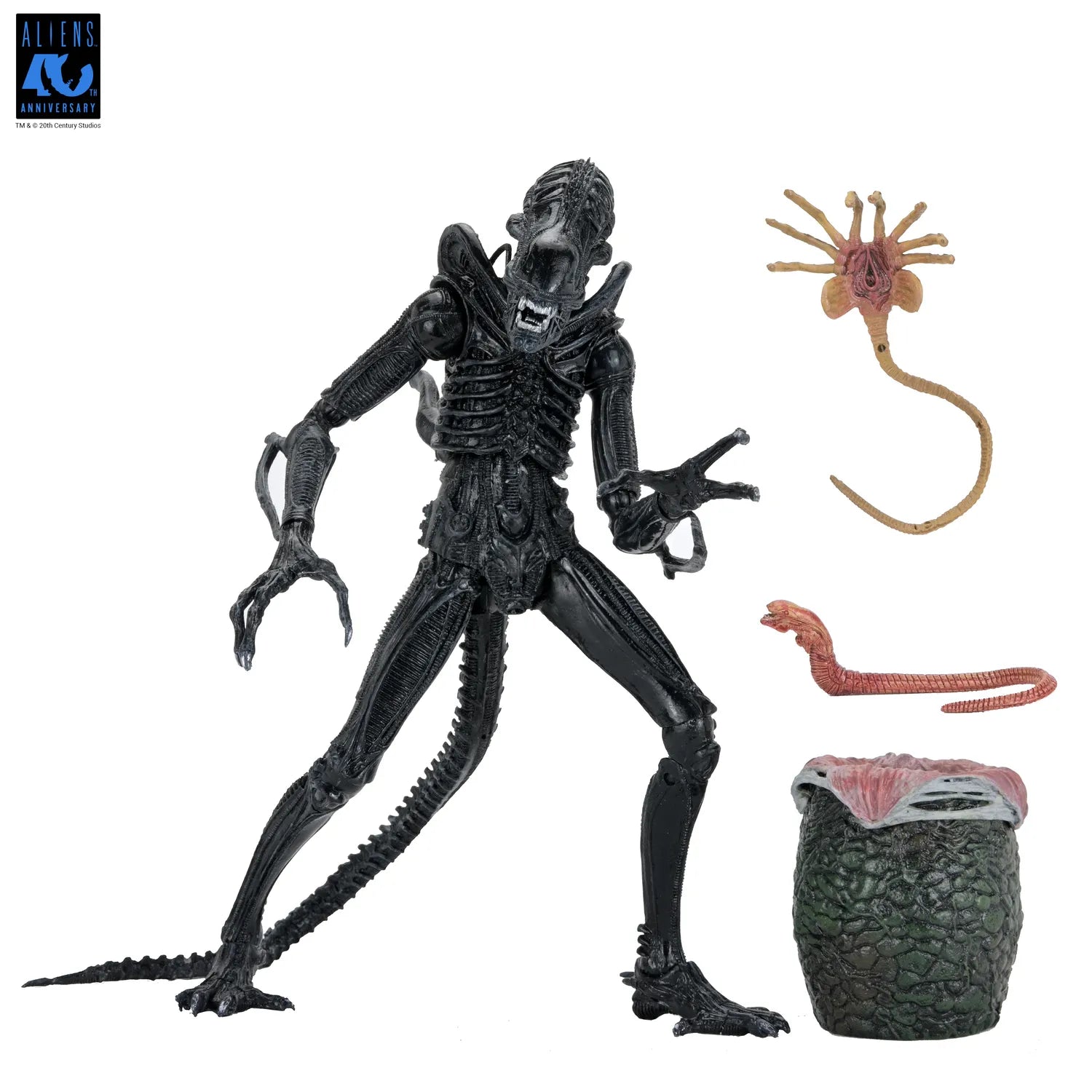 ALIENS 40TH ANNIVERSARY WARRIOR XENOMORPH BLACK ULTIMATE AF