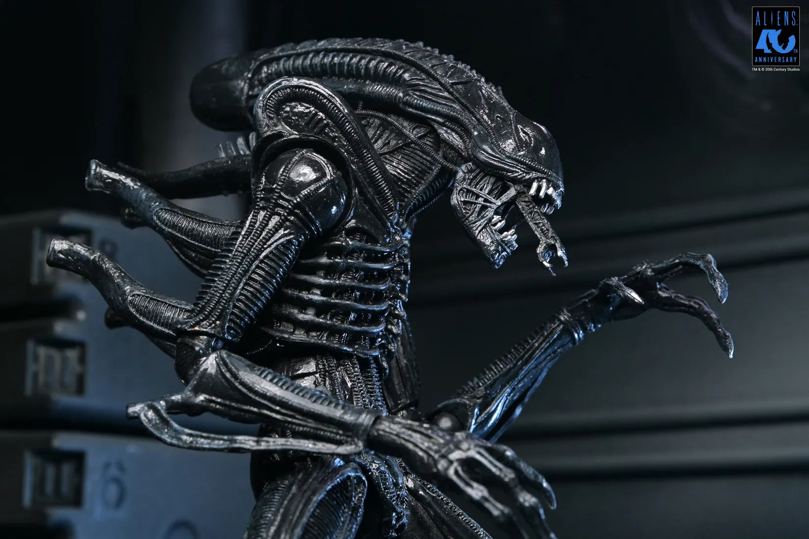 ALIENS 40TH ANNIVERSARY WARRIOR XENOMORPH BLACK ULTIMATE AF