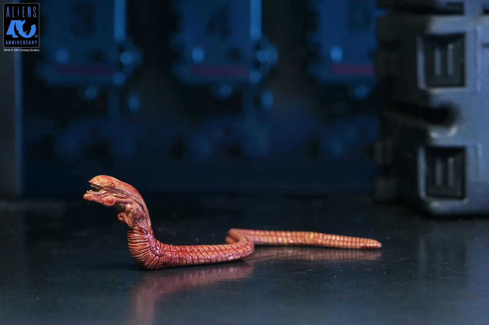 ALIENS 40TH ANNIVERSARY WARRIOR XENOMORPH BLACK ULTIMATE AF