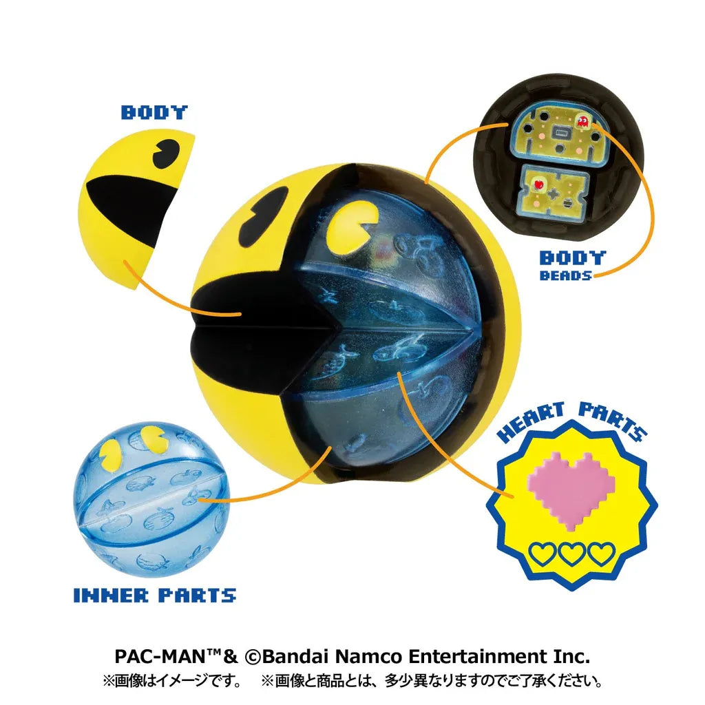 INSIDE FANTASY PAC-MAN DISPLAY(4)