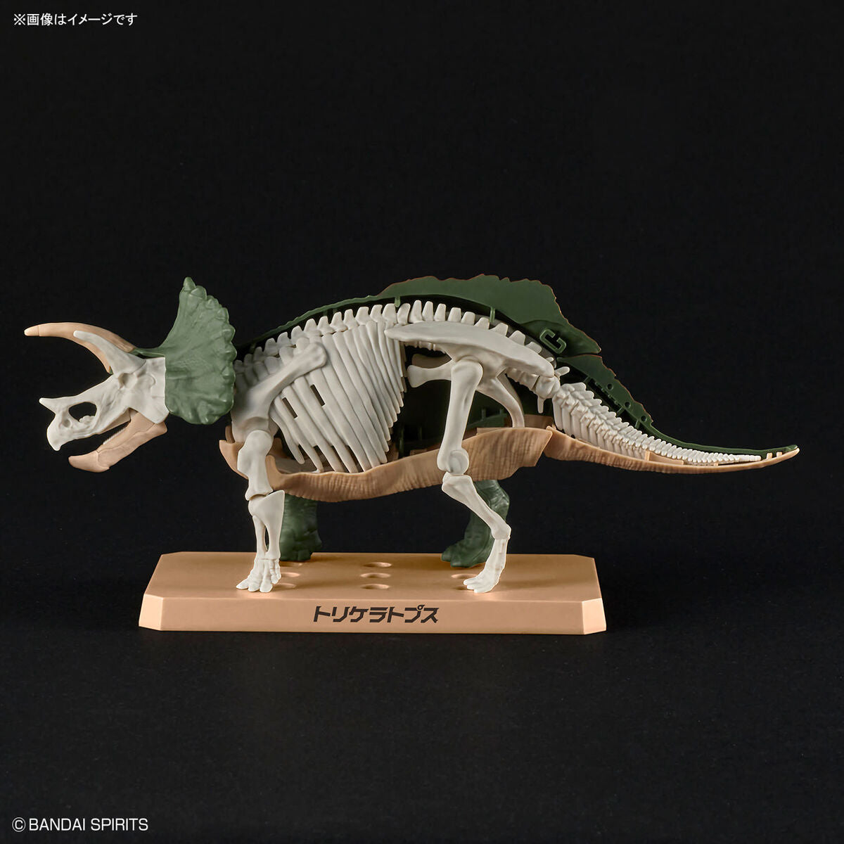 Planosaurus Triceratops
