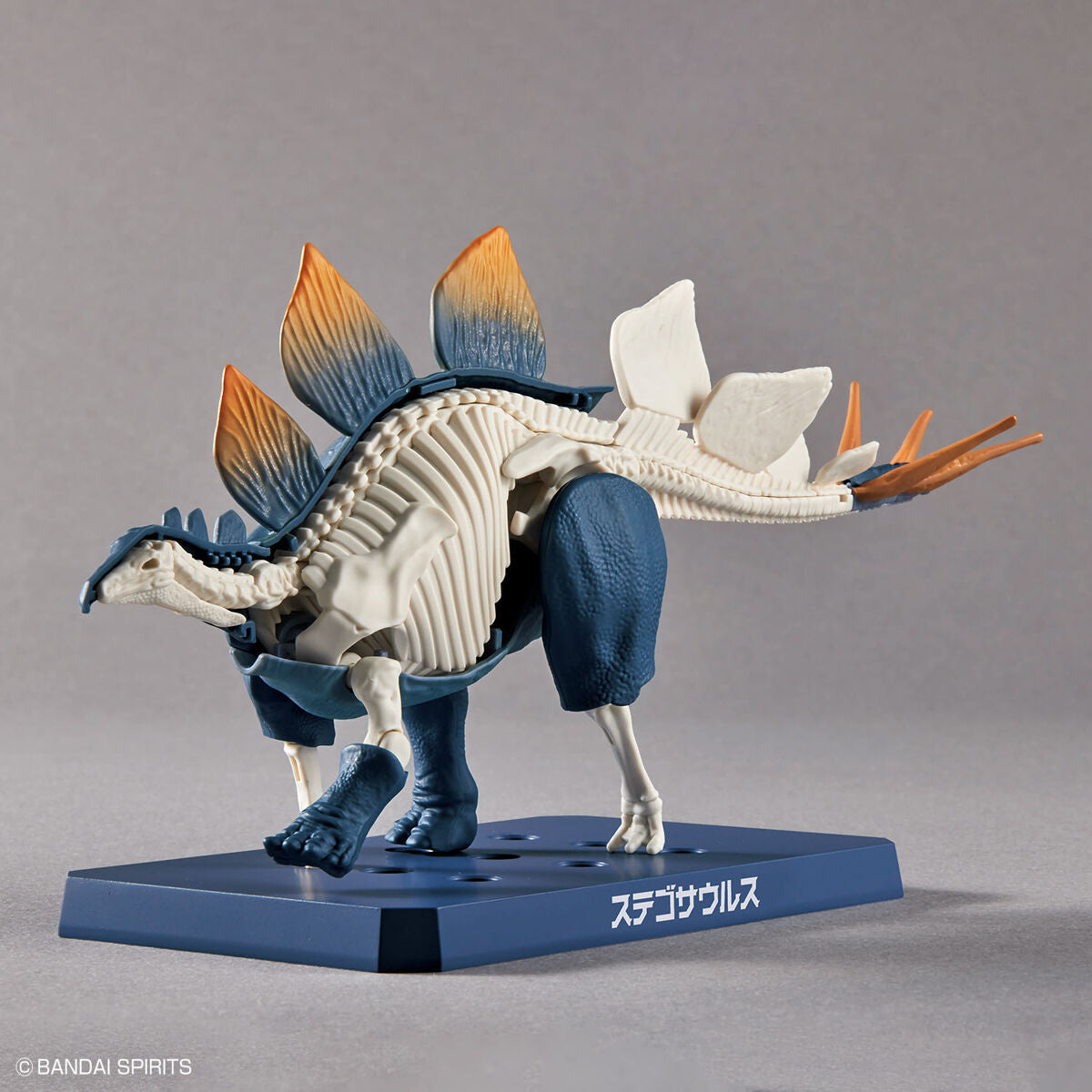 Planosaurus Stegosaurus