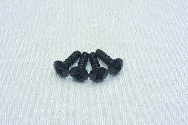 Cap Head Self Tapping Screws 3*10 4P