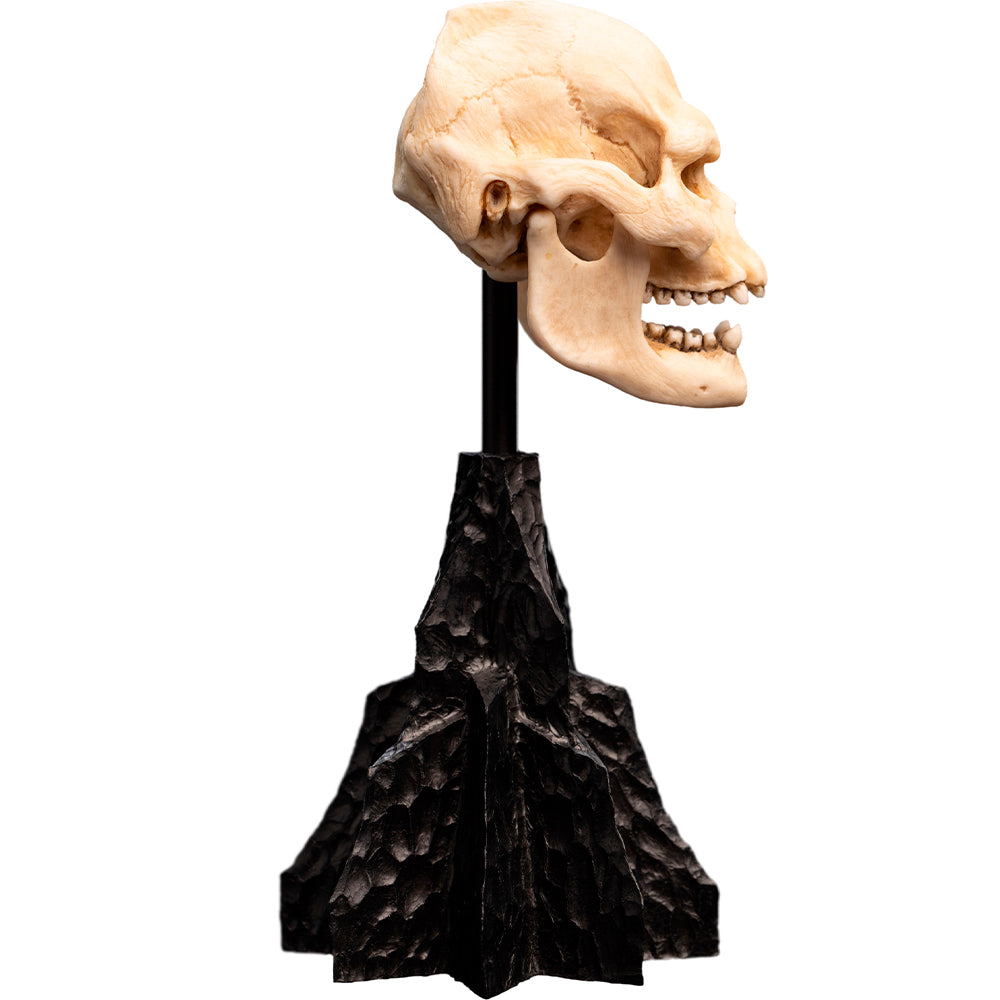 Weta Workshop Lord of the Rings - Skull of Lurtz Minuature