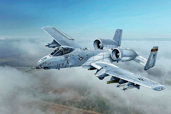 1:48 A-10C 'Blacksnakes'