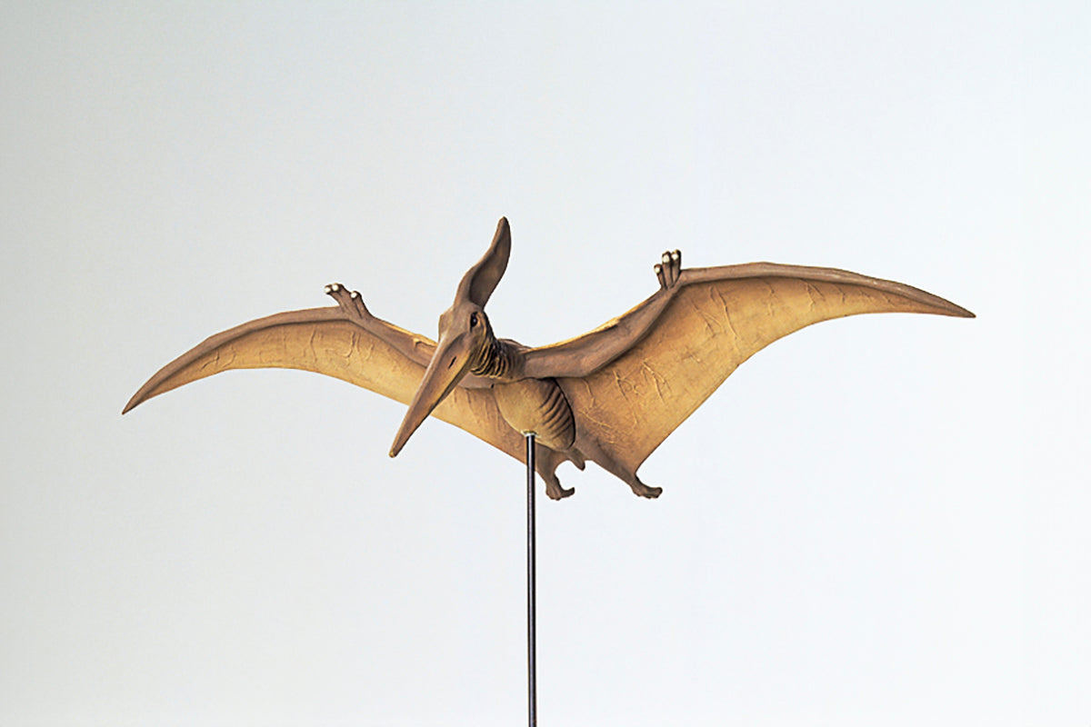 1/35 Pteranodon