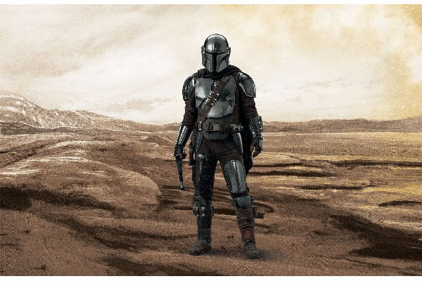 The Bounty Hunter: The Mandalorian