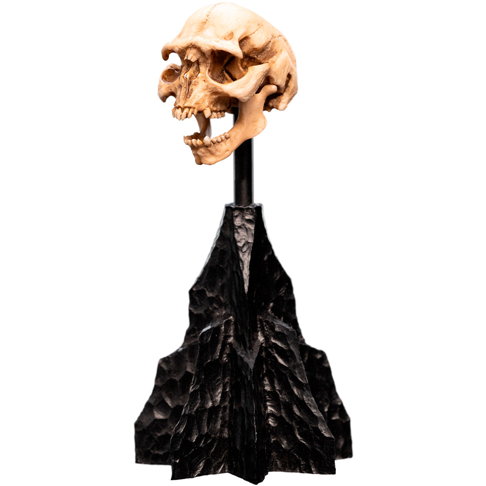 Weta Workshop Lord of the Rings - Skull of a Moria Orc Minuature