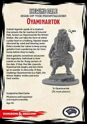 D&D ICEWIND DALE OYAMINARTOK (1FIG)