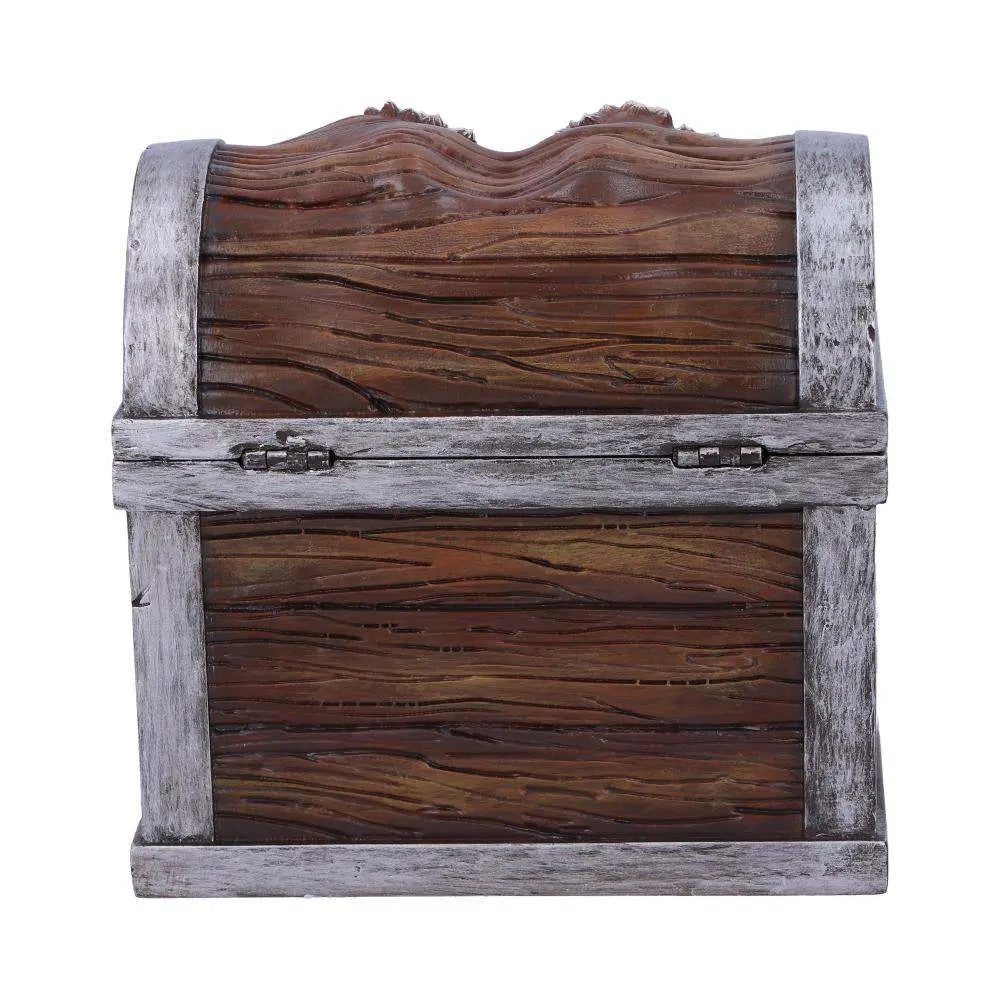 DUNGEONS & DRAGONS MIMIC DICE BOX