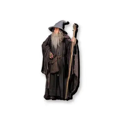 LOTR GANDALF FUNKY CHUNKY MAGNET