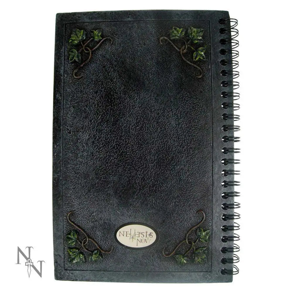 NOTEBOOK RESIN SPIRAL COVER IVY PENTAGRM