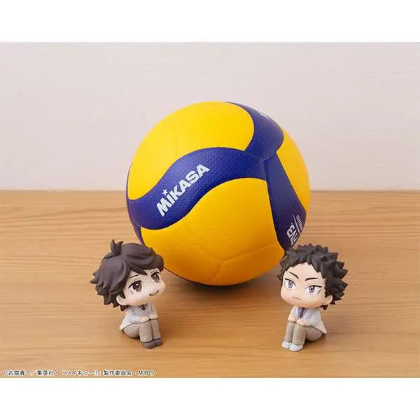 LOOKUP HAIKYU IWAIZUMI